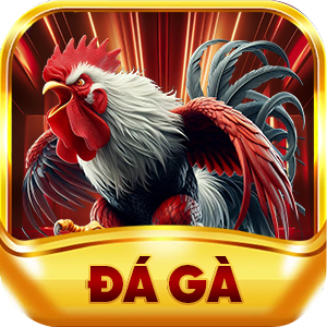 icon đá gà